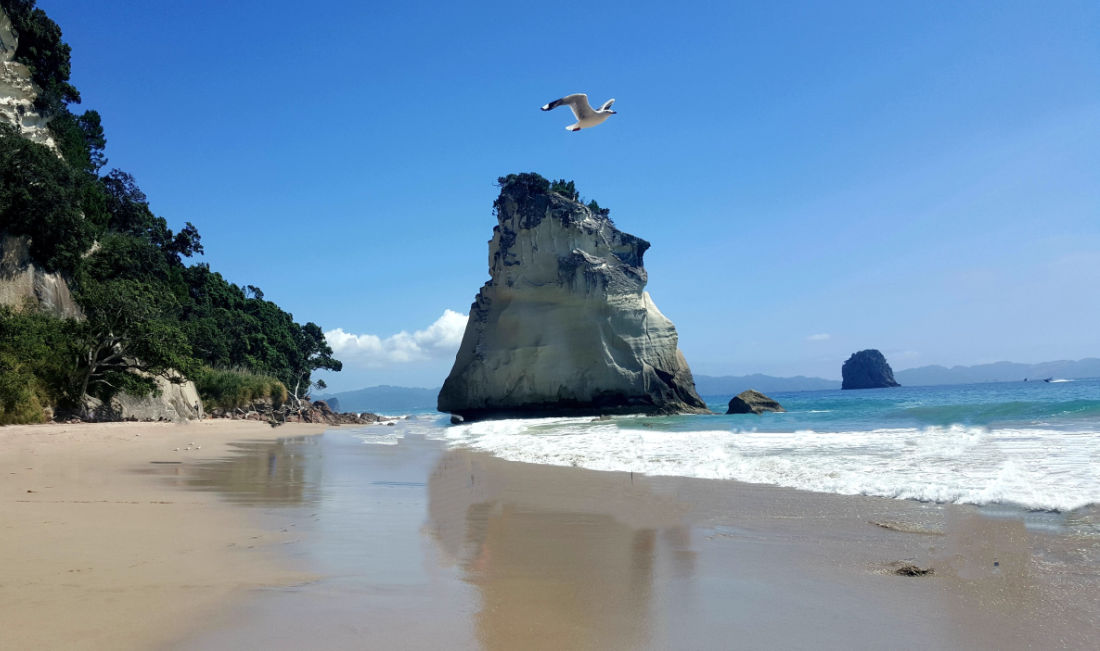 Möve fliegt über Strand am Meer